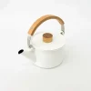 Tortoise General Drinking<Kaico Tea Kettle - White [TS346]