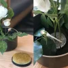 Tortoise General Outdoor | Gardening<Kenzan Flower Frogs