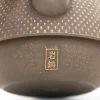 Tortoise General Drinking<Nambu Tekki Cast Iron Teapot with Strainer - Arare