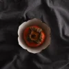 Tortoise General Eating | Serving<Novem Kikyo Bowl