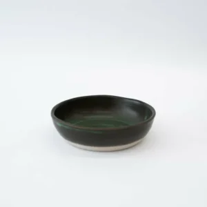 Tortoise General Eating<WRF Coupe Plate Small